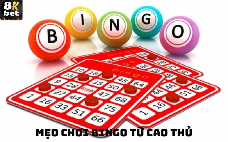Mẹo chơi Bingo từ cao thủ
