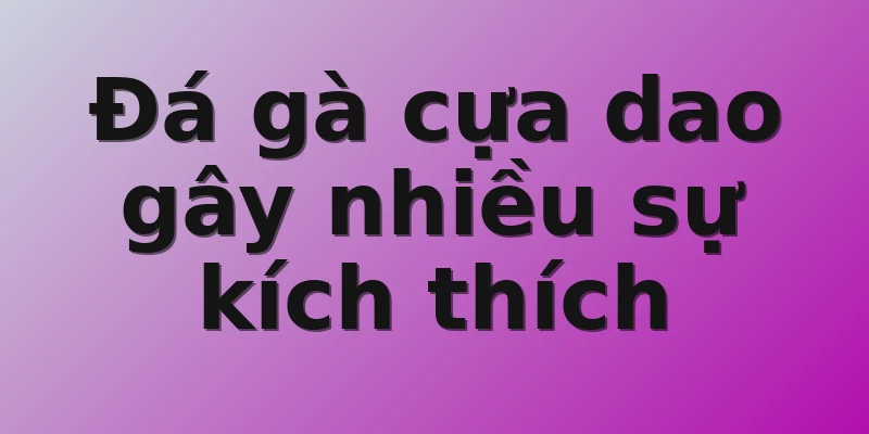 Đá gà cựa dao gây nhiều sự kích thích
