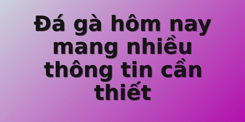 Đá gà hôm nay mang nhiều thông tin cần thiết