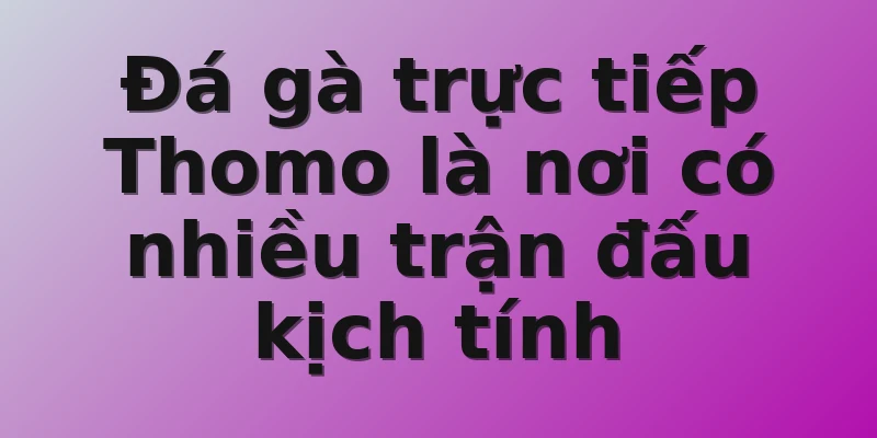 Đá gà trực tiếp Thomo là nơi có nhiều trận đấu kịch tính