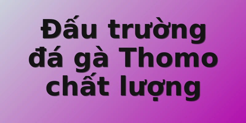 Đấu trường đá gà Thomo chất lượng