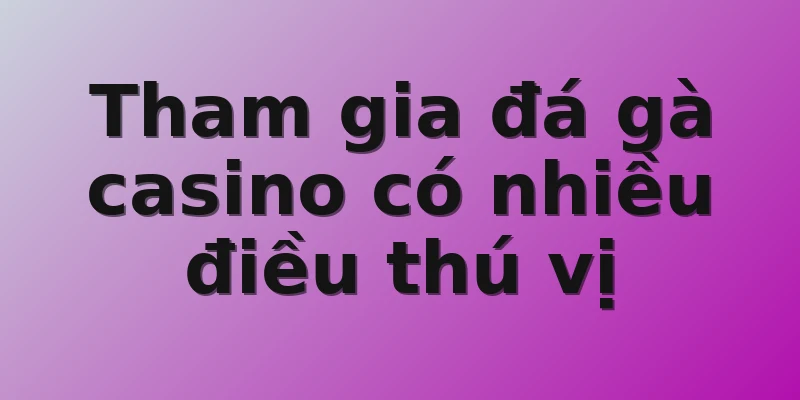 Tham gia đá gà casino có nhiều điều thú vị