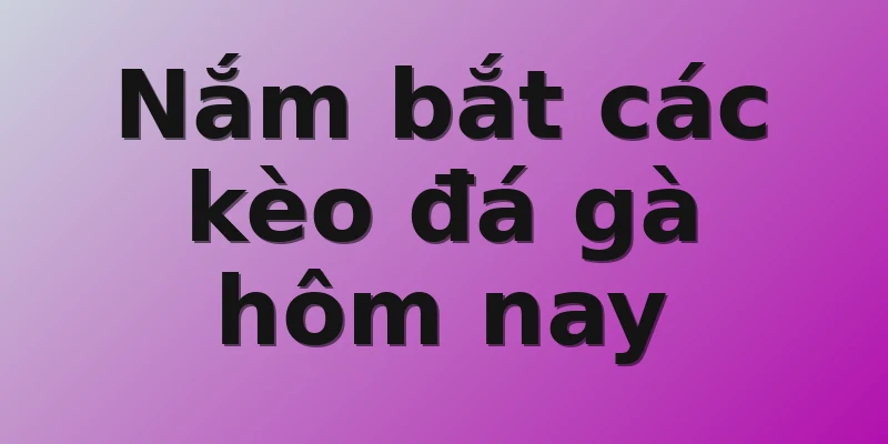 Nắm bắt các kèo đá gà hôm nay