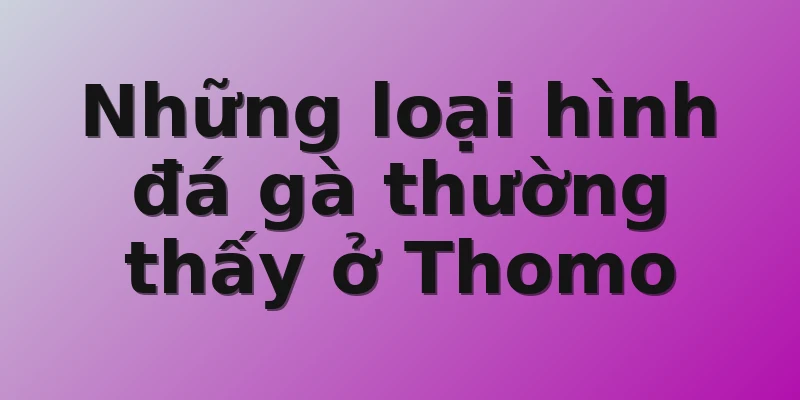 Những loại hình đá gà thường thấy ở Thomo